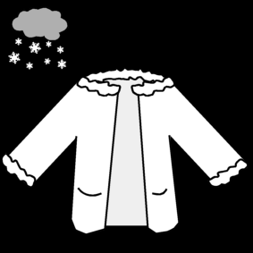 coat: winter / wintercoat